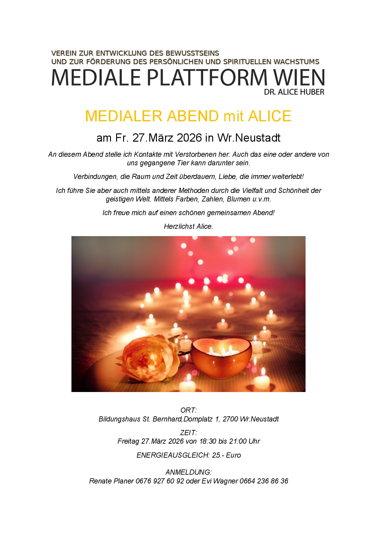 Herzlich Willkommen in der Medialen Plattform